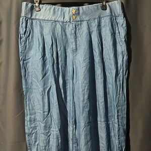 Blue Pleated Pants